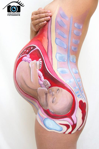Illustration for article titled Bodypaint shows how a baby fits inside a pregnant woman's body